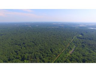 Farmland in Pulaski County, Arkansas - ABSOLUTE ARKANSAS REAL ESTATE AUCTION - 1,200+/- ACRES OFFERED IN 6 TRACTS IN PULASKI COUNTY, ARKANSAS